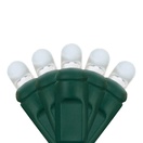  D5<sup>TM</sup> Cool White Lux360<sup>TM</sup> LED Christmas Lights