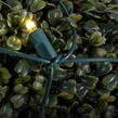 4' x 6' Lux360 TM Warm White D5 TM LED Net Lights, Green Wire