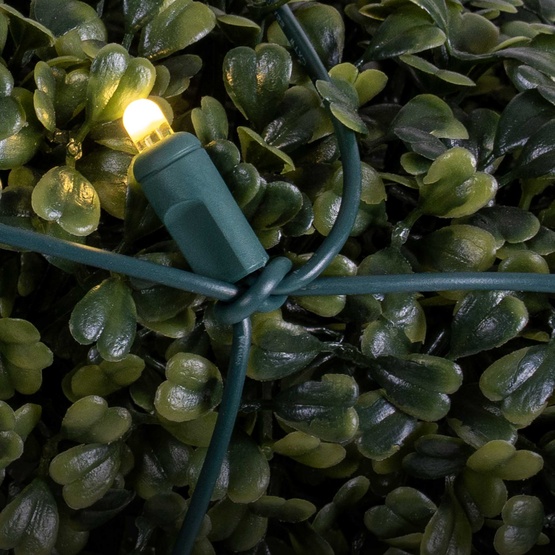 4' x 6' Lux360 TM Warm White D5 TM LED Net Lights, Green Wire