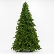 Olympia Pine Commercial Unlit Tree