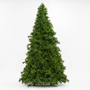 Olympia Pine Commercial Unlit Tree