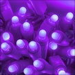 70 D5 TM Purple Lux360 TM LED Christmas Lights, 4" Spacing