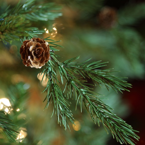 Hunter Prelit Tree Christmas Lights, Etc