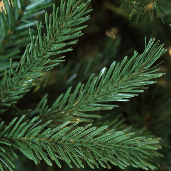 Balsam Fir Prelit Tree Christmas Lights, Etc