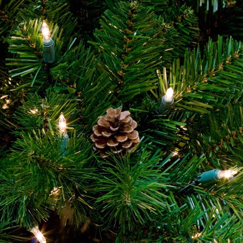 Winchester Fir Prelit Tree Christmas Lights, Etc