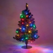 2' Winchester Fir Lux360 TM Prelit Walkway Tree with 85 LED Multicolor Lights