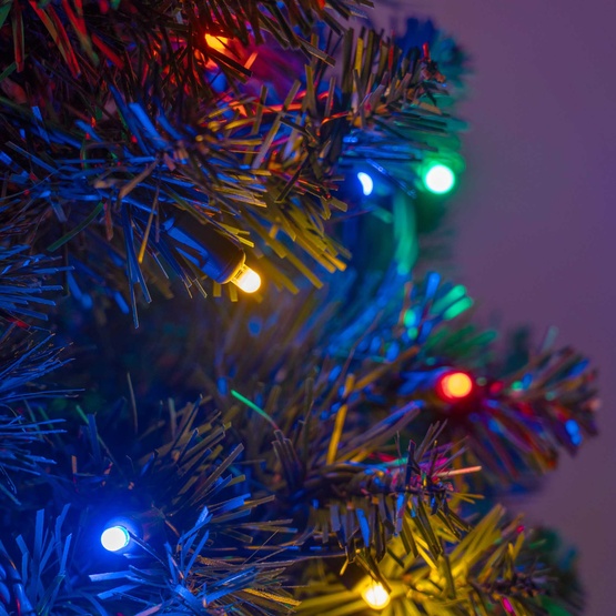 2' Winchester Fir Lux360 TM Prelit Walkway Tree with 85 LED Multicolor Lights
