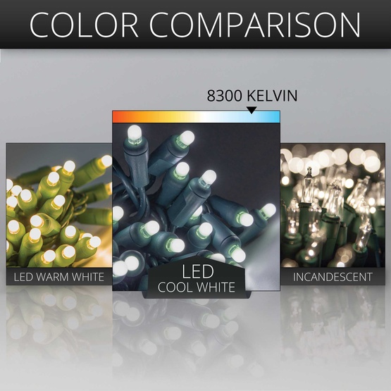 4' x 6' Lux360 TM Cool White D5 TM LED Net Lights, Green Wire