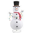72" LED Snowman With Hat Holding String Lights, Warm White and Multicolor Lights