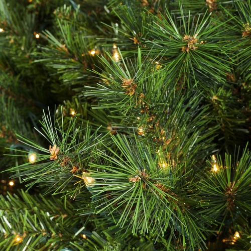 Brighton Fir Prelit Tree Christmas Lights, Etc