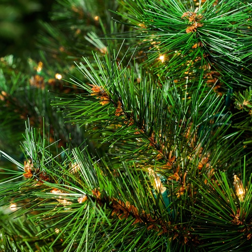 Brighton Fir Prelit Tree Christmas Lights, Etc