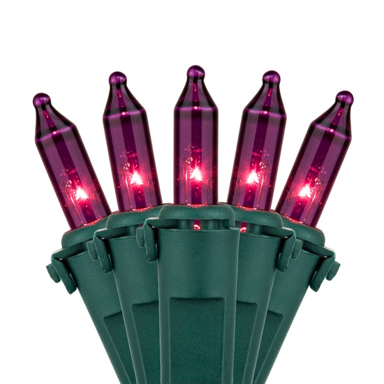50 Purple Mini Christmas Lights, 4" Spacing, Premium, Green Wire