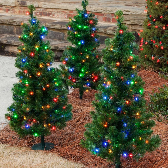 2' Walkway Pre-Lit Winchester Fir Tree, 50 Multicolored LED Lights