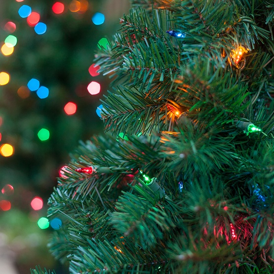 3 Walkway Pre Lit Winchester Fir Tree 100 Multicolored Lamps 3 Walkway Pre Lit Winchester Fir Tree 100 Multicolored Lamps