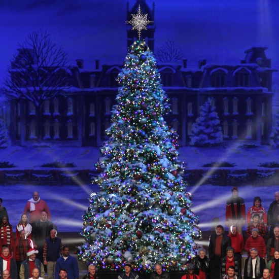 29' Giant Everest Commercial Christmas Tree, C7 Multicolor LED Lights