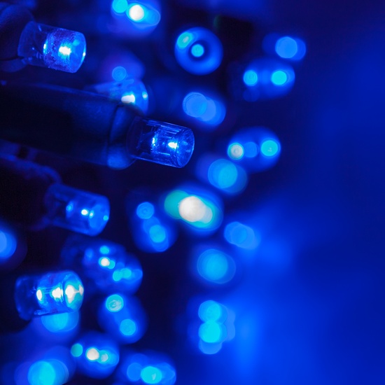 50 5mm Blue LED Christmas Lights, 6" Spacing