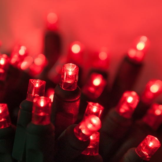 50 5mm Red LED Christmas Lights, 6" Spacing