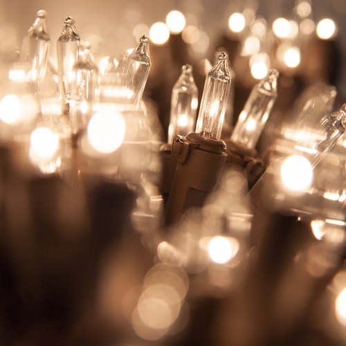 Christmas Lights 50 Clear Mini Christmas Lights, 6" Spacing, Premium