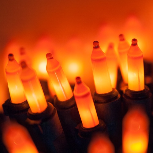 Christmas Lights 50 Pumpkin Orange Halloween Mini Lights, 6" Spacing