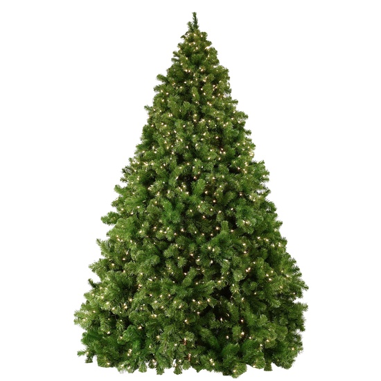 Sequoia Fir Commercial Unlit Tree