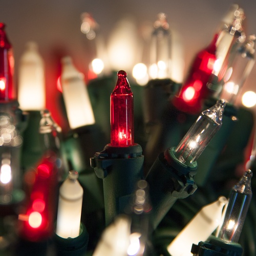 Christmas Lights 50 Red, Clear, White Frost Mini Christmas Lights, 6