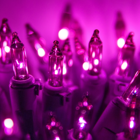 50 Purple Passion Mini Christmas Lights, 6" Spacing, Premium, Purple Passion Wire