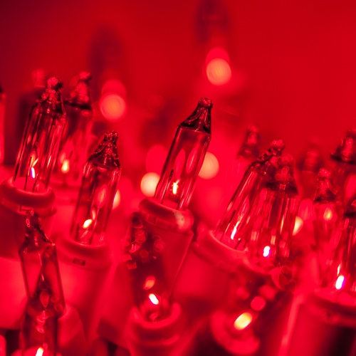 White Christmas Lights 50 Red Mini Christmas Lights, 4" Spacing
