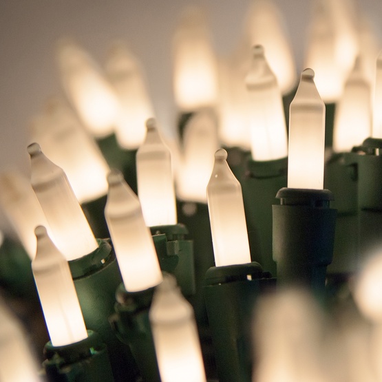 Commercial 100 White Frost Christmas Mini Lights, 6" Spacing, Green Wire