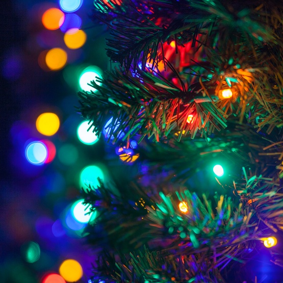 2' Walkway Pre-Lit Winchester Fir Tree, 50 Multicolored LED Lights