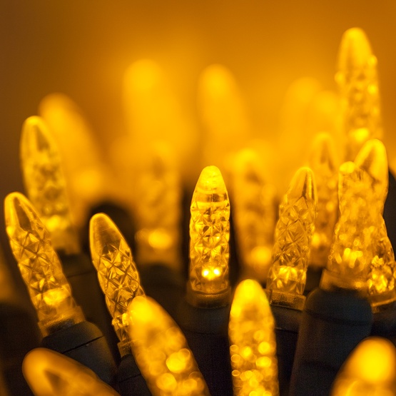 led christmas lights 70 m5 gold led christmas lights 4 led christmas lights 70 m5 gold led christmas lights 4