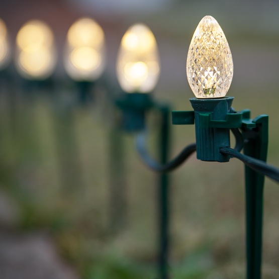 Christmas Lights - C7 Warm White Christmas LED Pathway Lights C7 Warm White Christmas LED Pathway Lights - Christmas Lights - C7 Warm White Christmas LED Pathway Lights