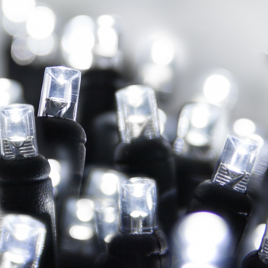 70 5mm Cool White LED Christmas Lights, 4" Spacing, Black Wire