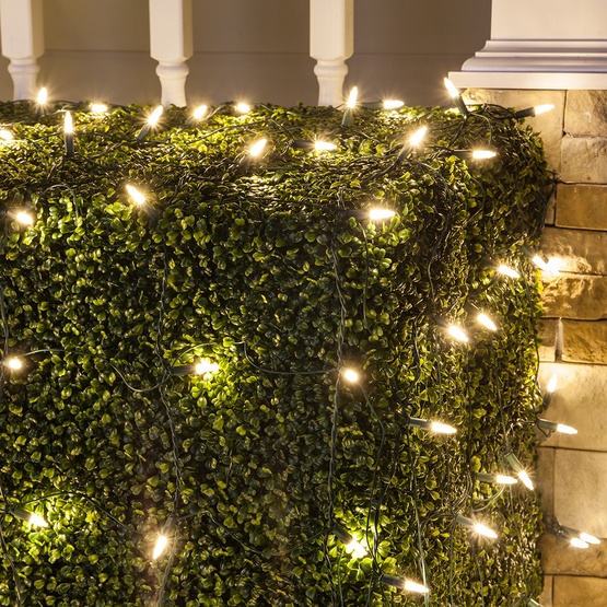 Led Net Lights M5 4 X6 Warm White Green Wire