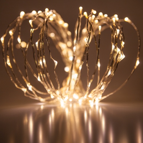 Novelty Lights 20' Warm White LED Fairy Light String