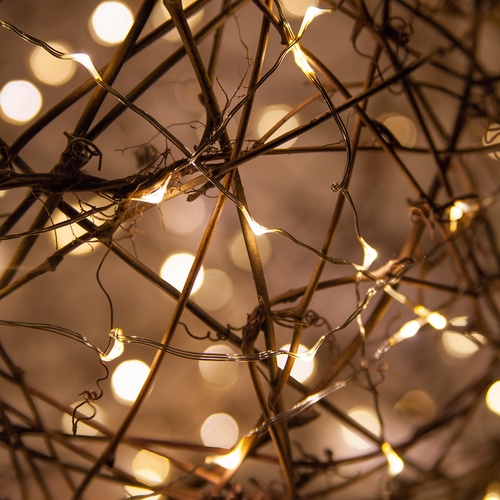 Novelty Lights 20' Warm White LED Fairy Light String