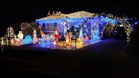 LED Christmas Lights - 70 M5 Blue LED Icicle Lights 70 M5 Blue LED Icicle Lights - LED Christmas Lights - 70 M5 Blue LED Icicle Lights