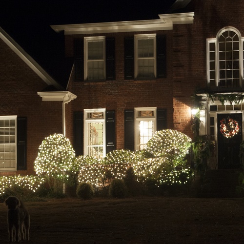 4' x 6' Twinkle Net Lights - 150 Clear Lamps - Green Wire