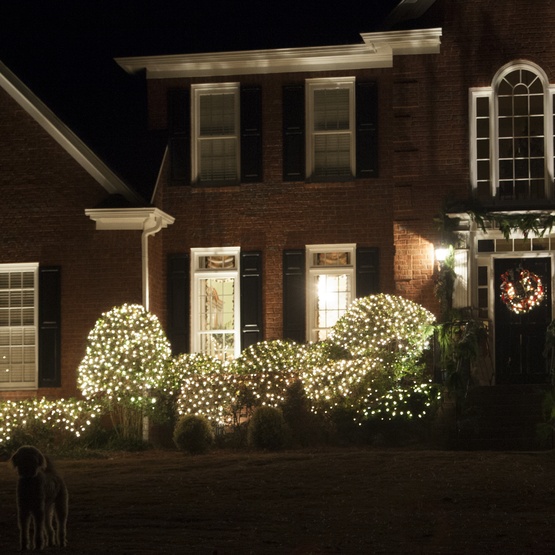 christmas net lights 4 x 6 twinkle net lights 150 christmas net lights 4 x 6 twinkle net lights 150