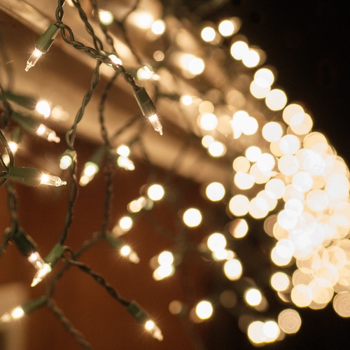 100 Clear Icicle Lights, Green Wire, Short Drops