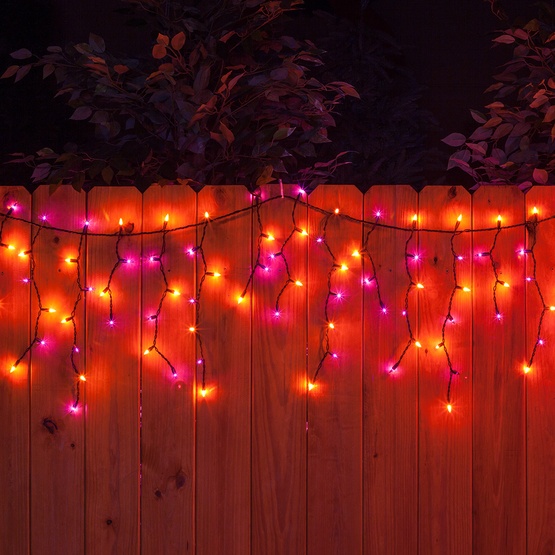 150 Purple / Orange Halloween Icicle Lights - Black Wire