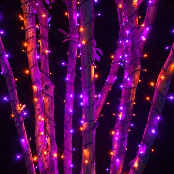 70 5mm Purple, Orange LED Halloween Lights, 4" Spacing, Black Wire