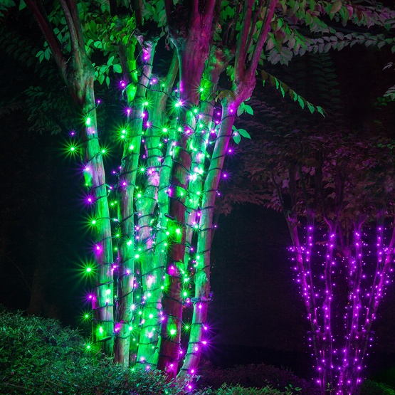 70 5mm Purple, Green LED Halloween Lights, 4" Spacing, Black Wire