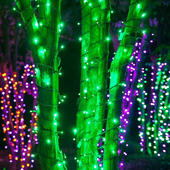 70 5mm Green LED Halloween Lights, 4" Spacing, Black Wire