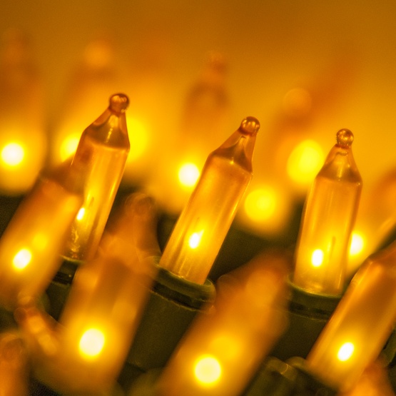 50 Gold Frost Mini Christmas Lights, 6" Spacing, Premium, White Wire