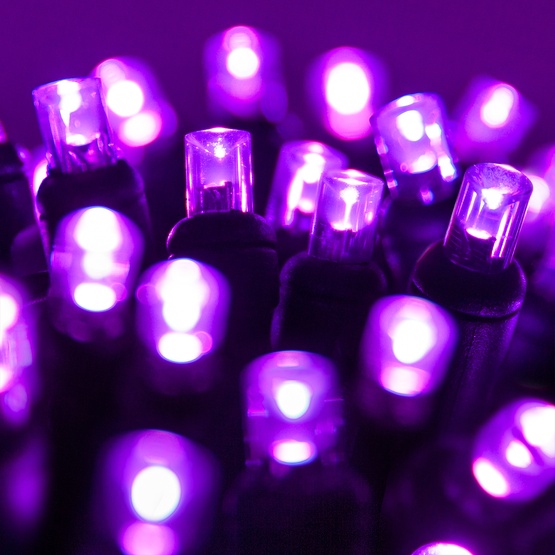 70 5mm Purple LED Halloween Lights, 4" Spacing, Black Wire