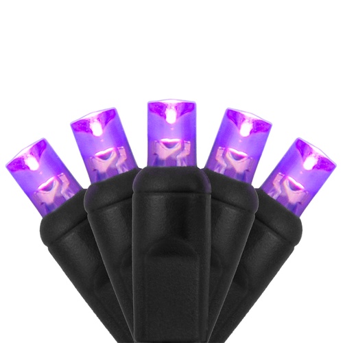 70 5mm Purple LED Halloween Lights, 4" Spacing, Black Wire