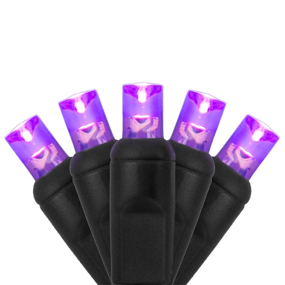70 5mm Purple LED Halloween Lights, 4" Spacing, Black Wire