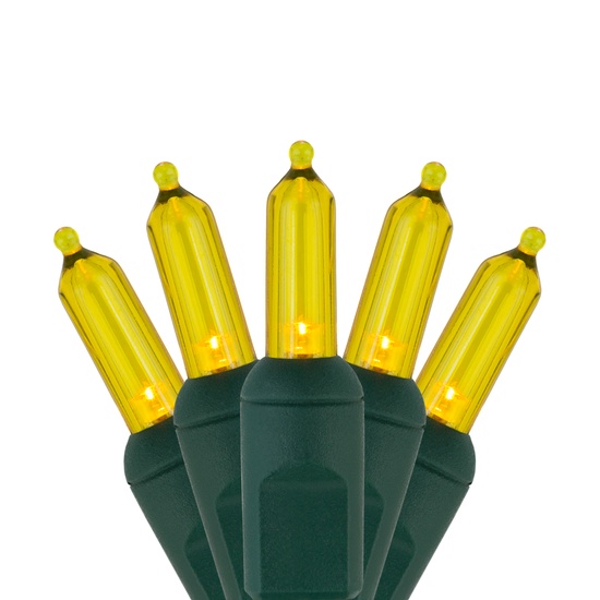 50 T5 Gold LED Christmas Tree Lights, 6" Spacing