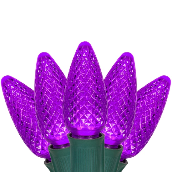 C9 Purple Commercial LED Halloween String Lights, 25 Lights, 25'