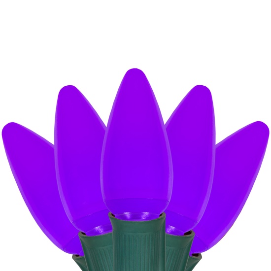 C9 Purple Smooth Commercial LED Halloween String Lights, 25 Lights, 25'